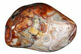 Polished Crazy Lace Agate - Mexico #180546-1